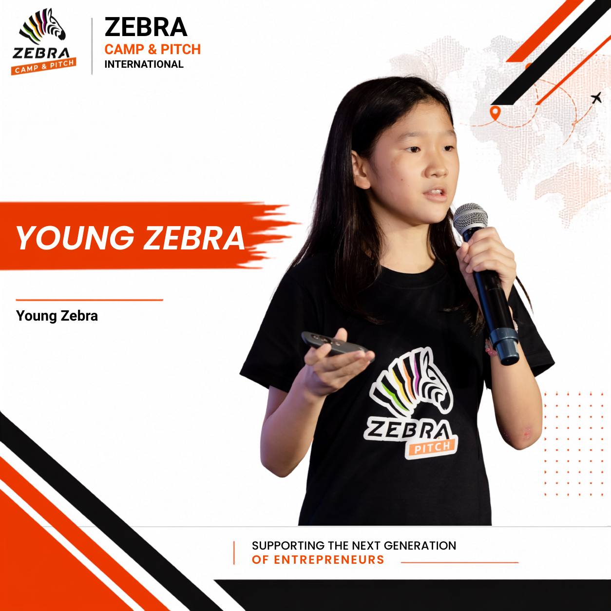 Young Zebra